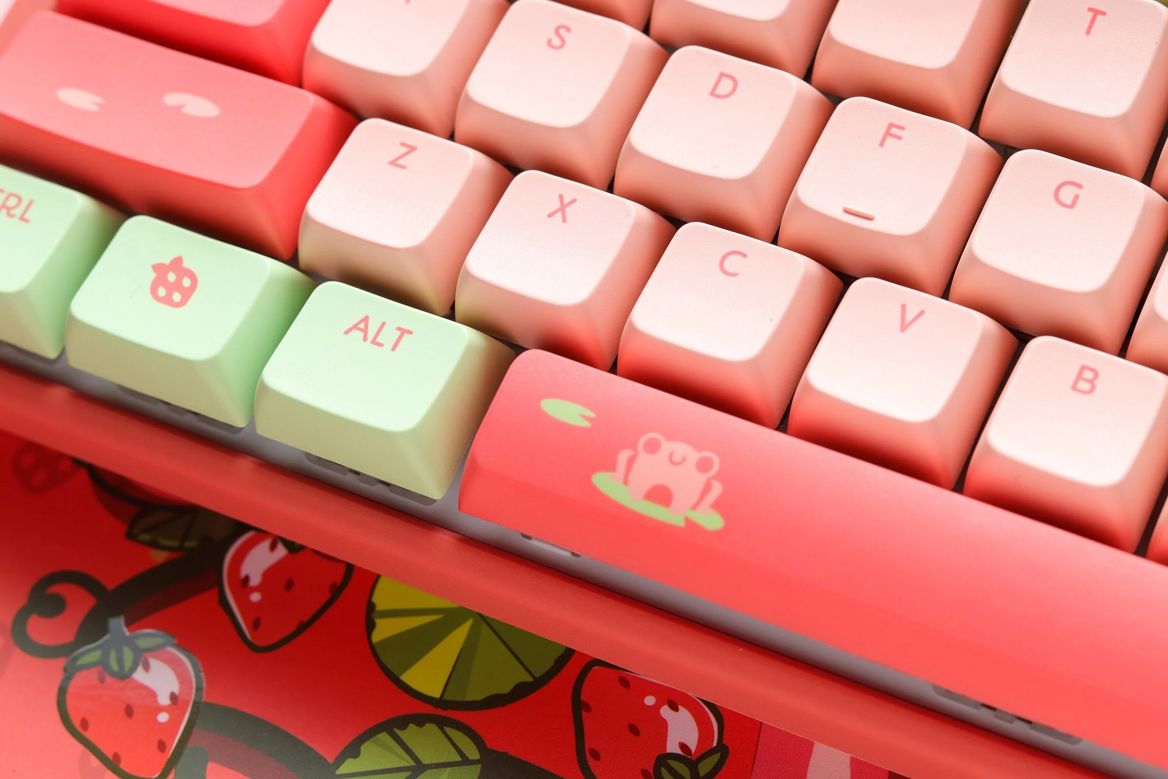 Thumbnail 12